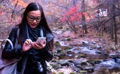 青春失乐园电影下载